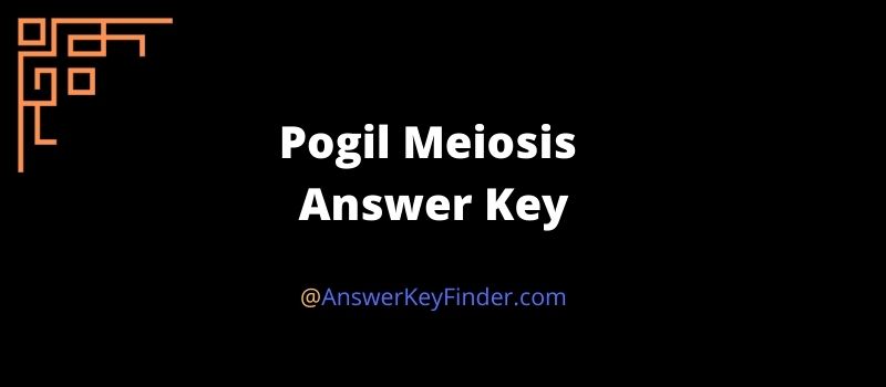 Pogil Meiosis Answer Key