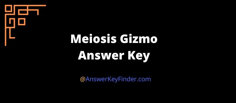 Meiosis Gizmo Answer Key