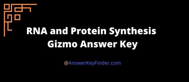 RNA and Protein Synthesis Gizmo Answer Key