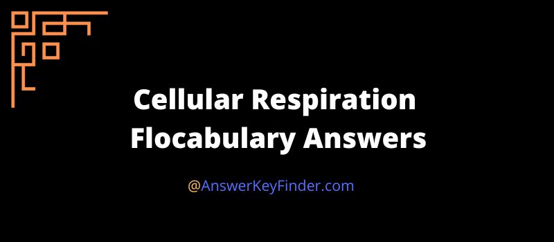 Cellular Respiration Flocabulary Answers