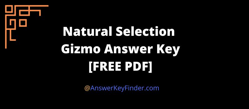 Natural Selection Gizmo Answer Key